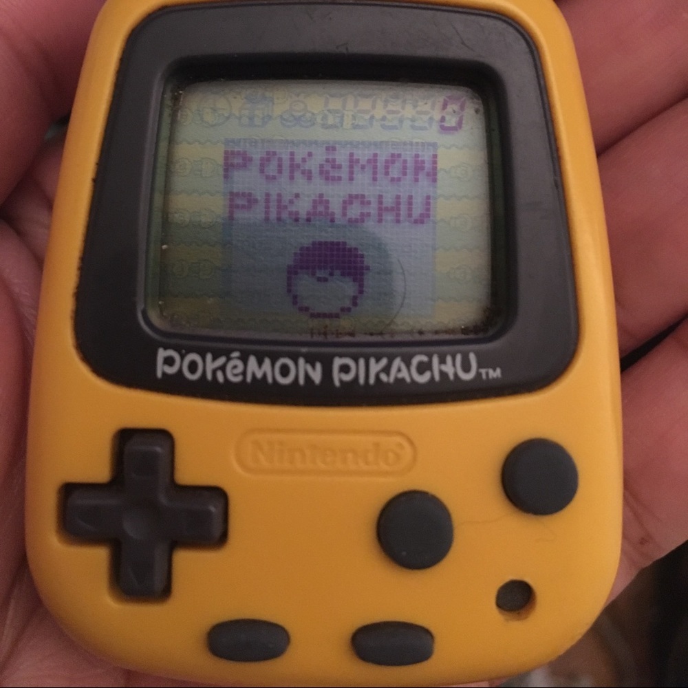 Pokémon pikachu pet